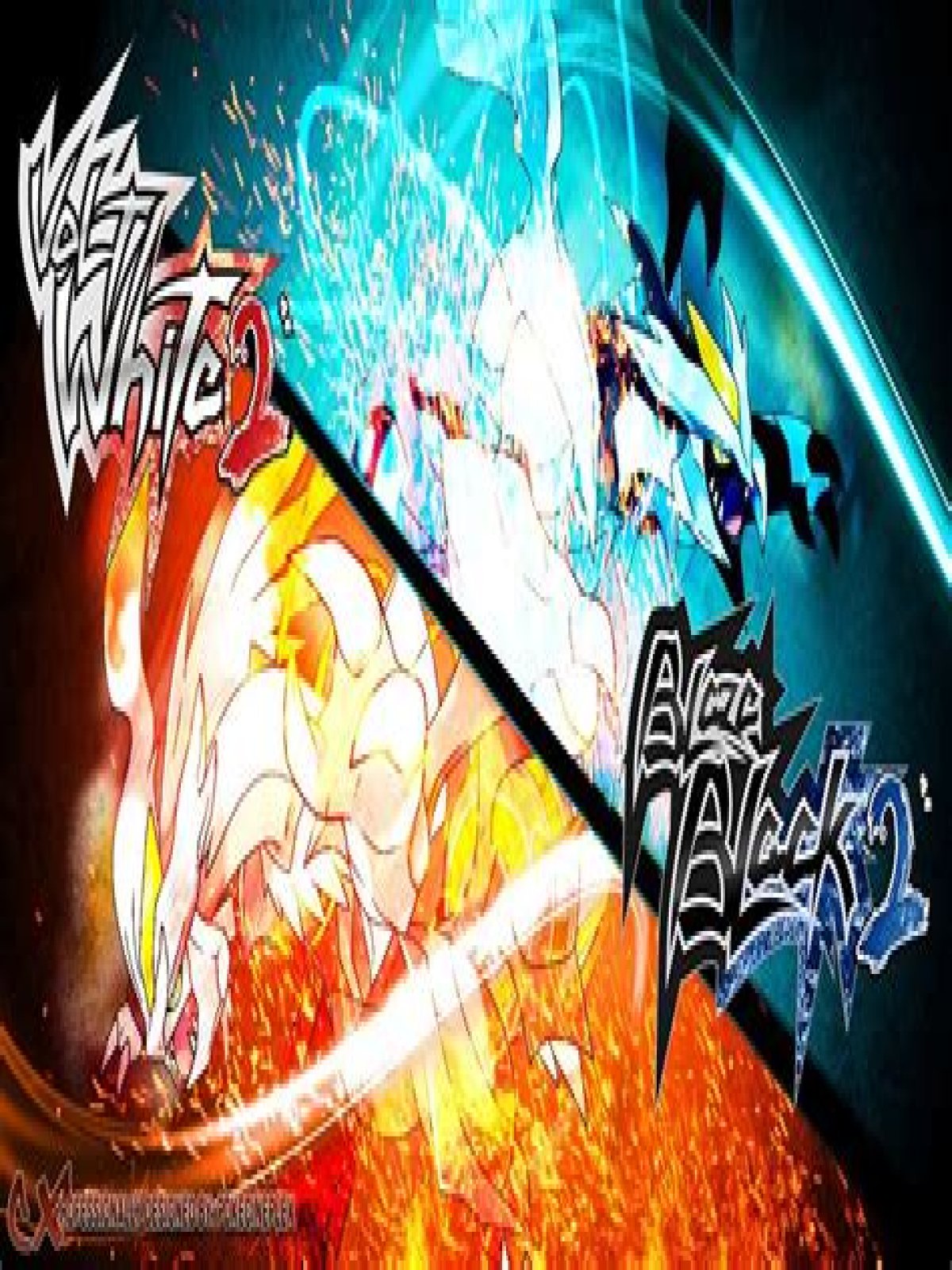 HTML